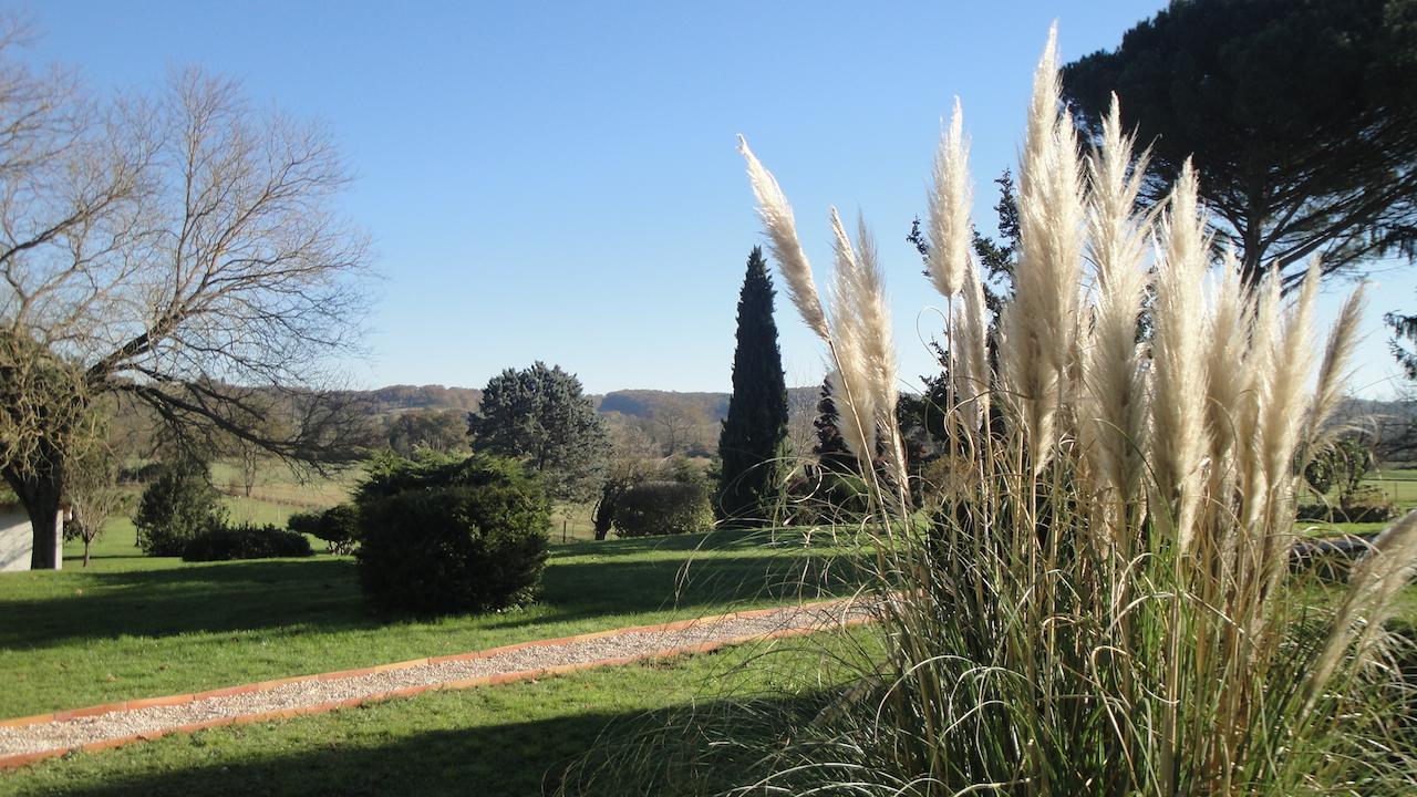 Domaine De Poudos Panzió Auterive Kültér fotó